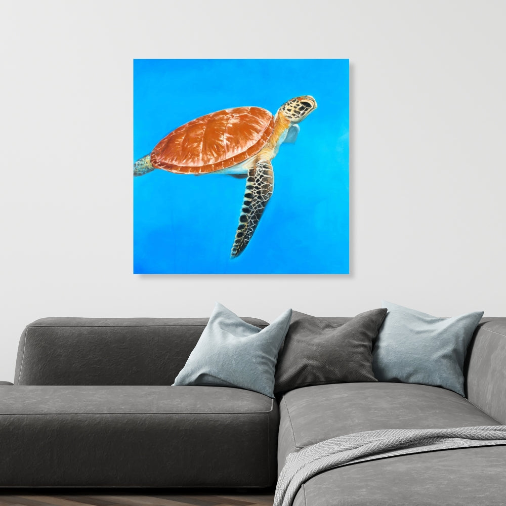 Green Aquatic Turtle Canvas | Exotic Bedroom Wall Art Decor