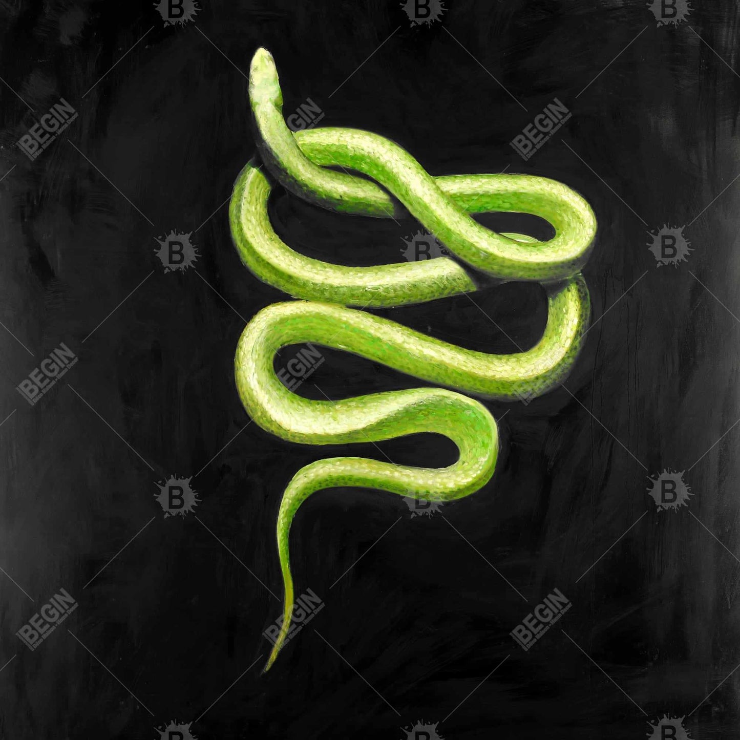 Green Snake Framed Canvas | Contemporary Reptile Wall Art