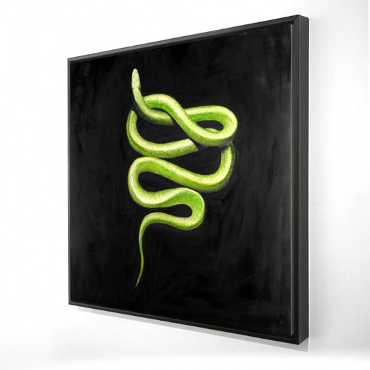 24"x24"