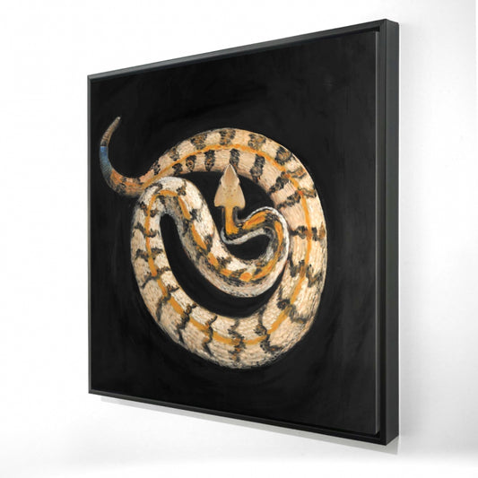 24"x24"
