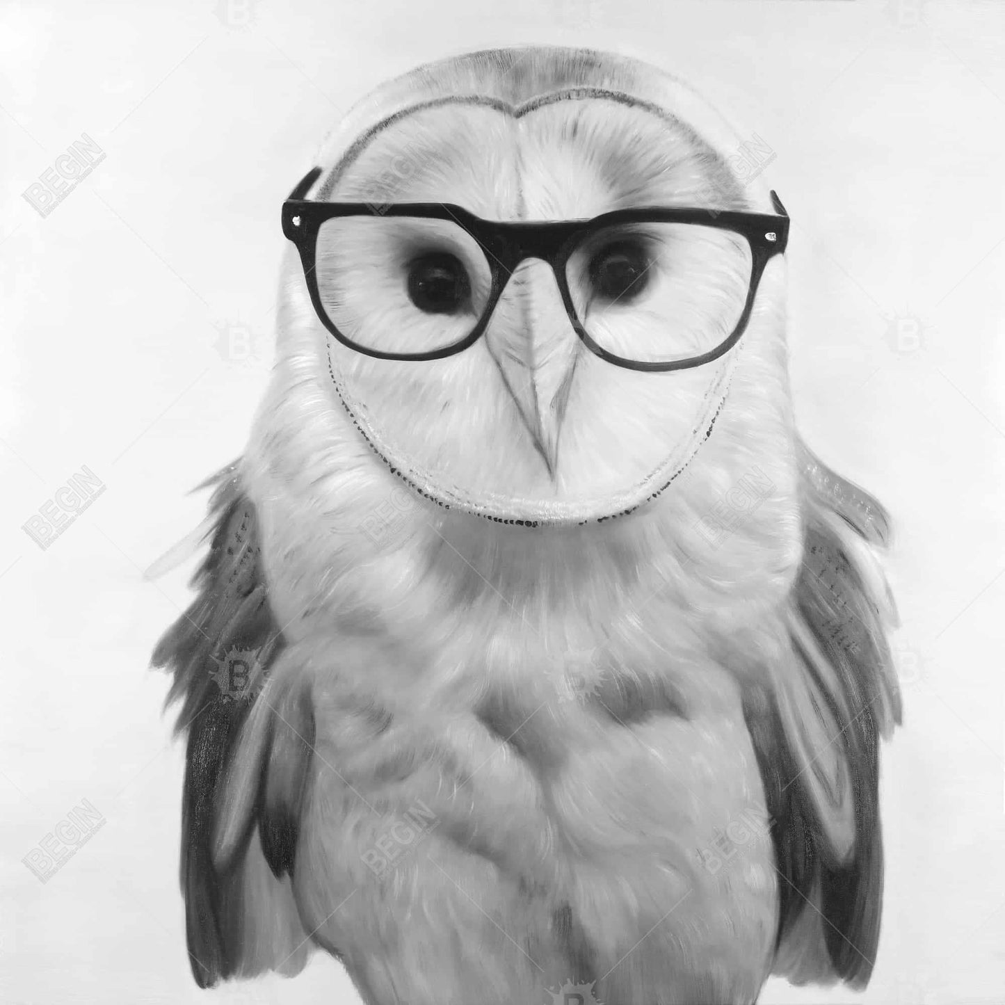 Barn Owl with Glasses | White Framed Canvas Home Decor