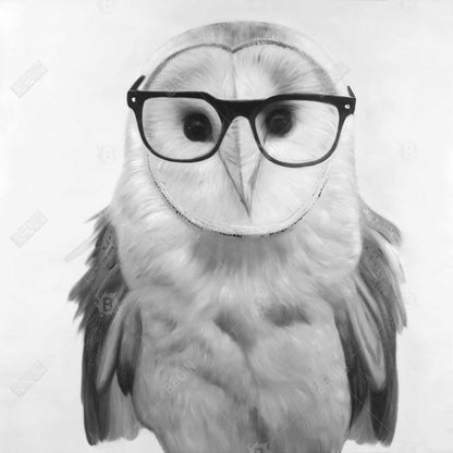 Realistic Barn Owl with Glasses Canvas | Home Decor Art