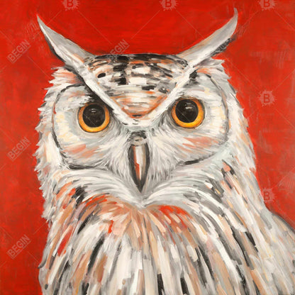 Colorful Eagle Owl Canvas | Bird Gray Framed Art for Decor
