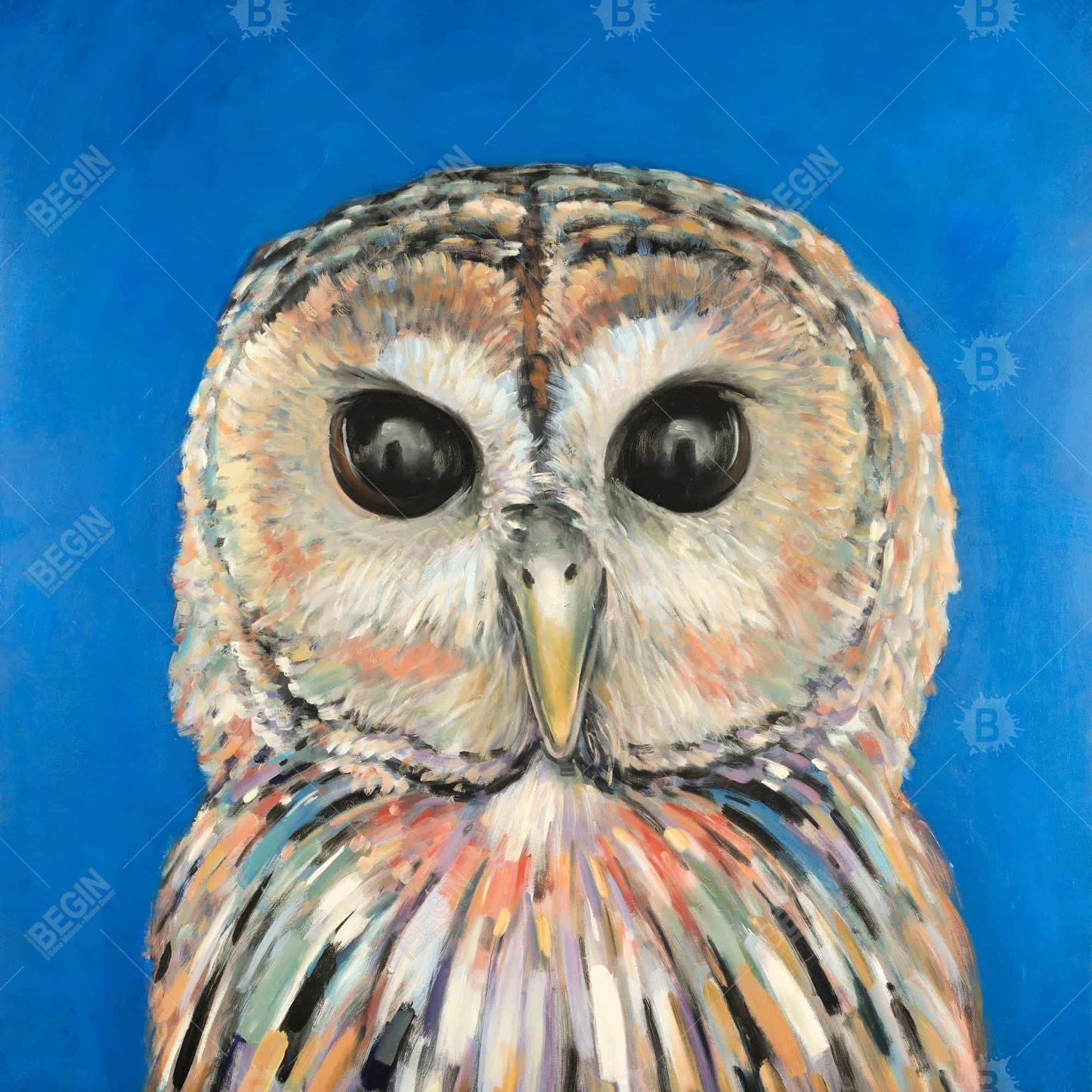 Colorful Spotted Owl Canvas | Blue Bird Bedroom Wall Art Decor