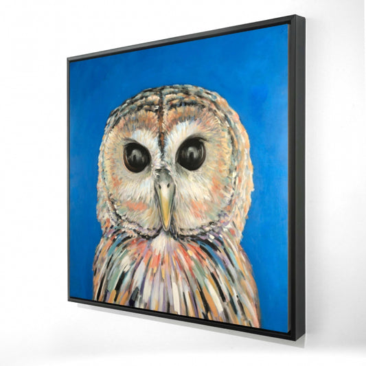 24.00"x24.00"