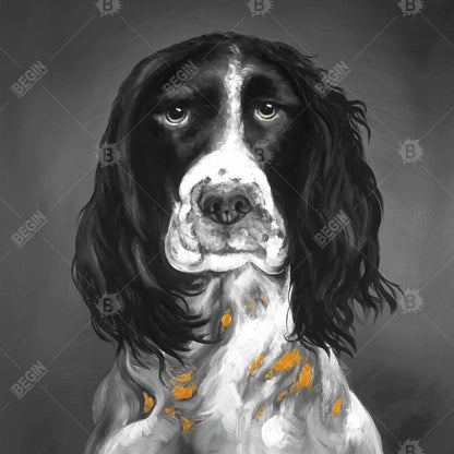 Gray Pets Animals Framed Canvas - English Springer Spaniel Art