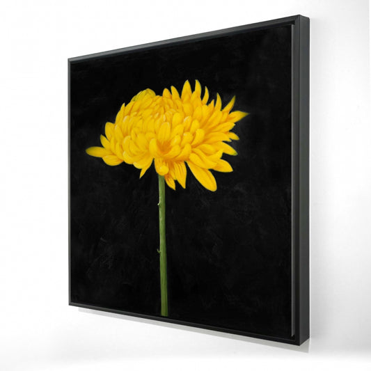 24"x24"