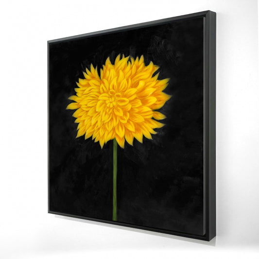 24"x24"