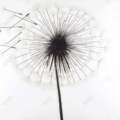 Silhouette of Dandelion Floral Canvas - White Bedroom Decor