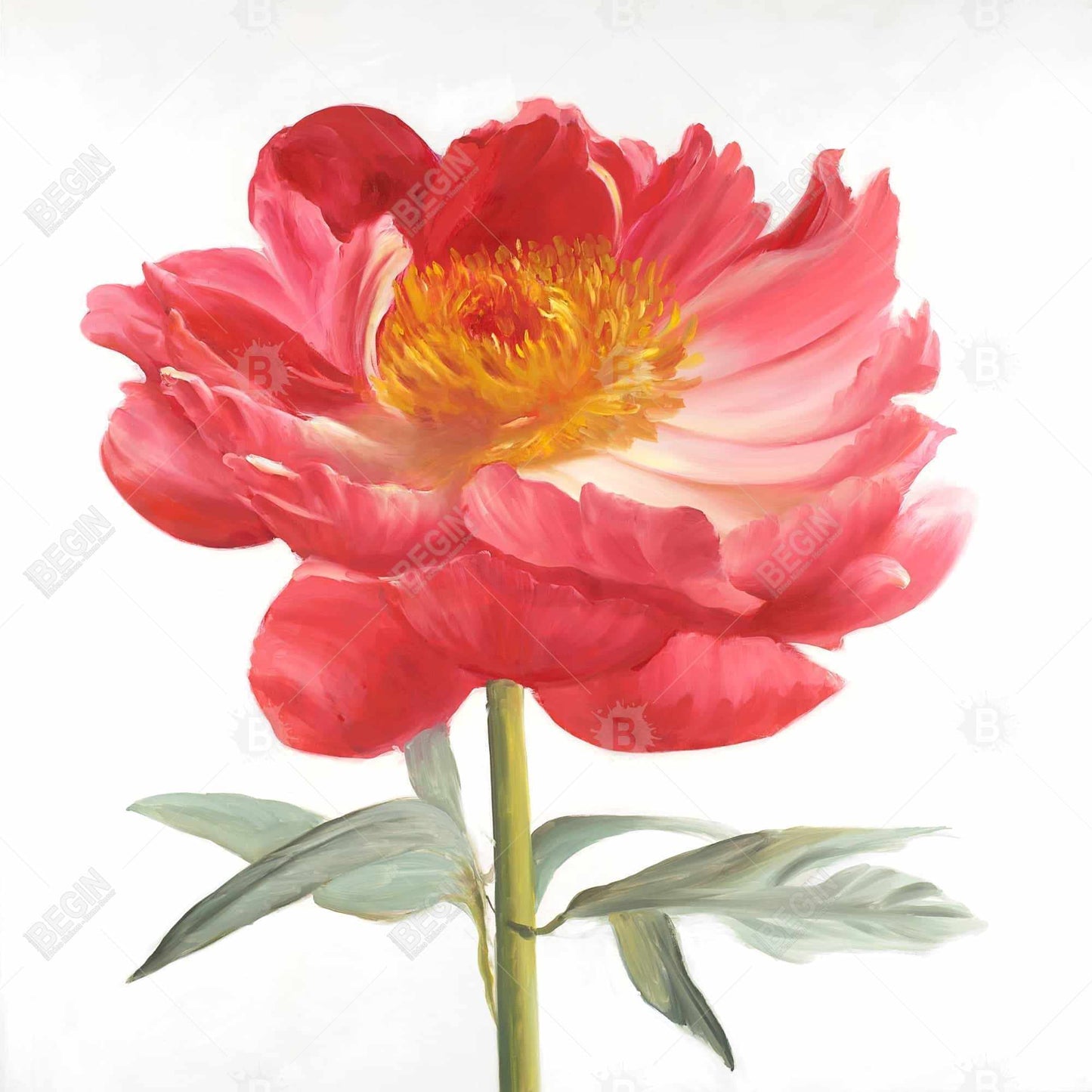 Toile botanique Pivoine rose | Décoration de chambre contemporaine