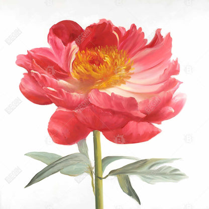 Toile botanique Pivoine rose | Décoration de chambre contemporaine