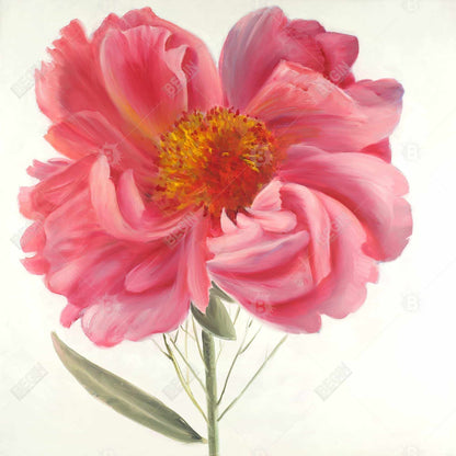 Pink Peony Flower Canvas | Botanical Home Decor Wall Art