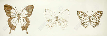 Croquis de papillons sur toile marron - Décoration d'intérieur contemporaine
