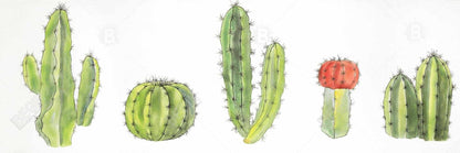 Toile florale verte | Décor aquarelle de petits cactus