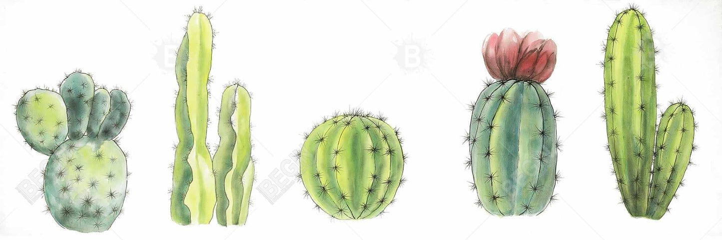 Ensemble de petits cactus | Toile encadrée décorative botanique florale verte