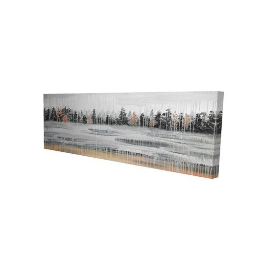 20"x60"