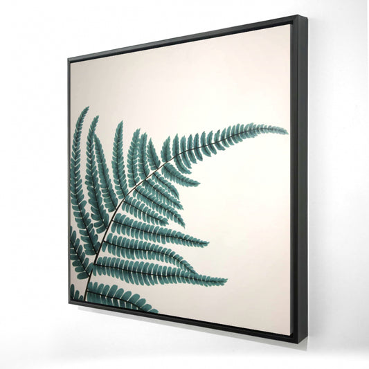 24"x24"