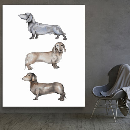 Small Dachshund Dog Canvas - Brown Pets Animals Home Decor