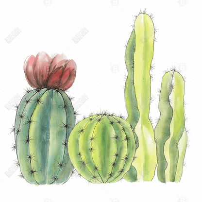 Exotic Red Botanical Canvas - Four Little Cactus Home Decor