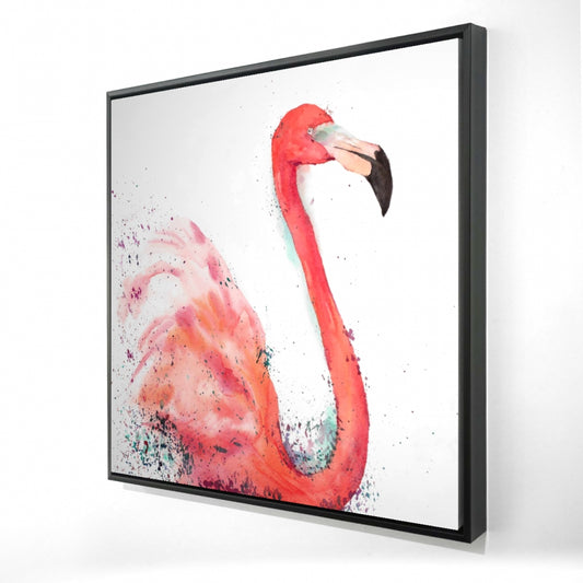 24.00"x24.00"