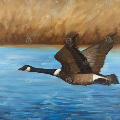 Rustic Canada Goose Canvas | Bedroom Bird Framed Wall Art