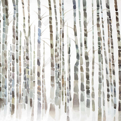 Birch Trees Forest | Minimalist Framed Canvas Home Decor