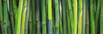 Toile de bambou – Décoration de chambre botanique | Art floral