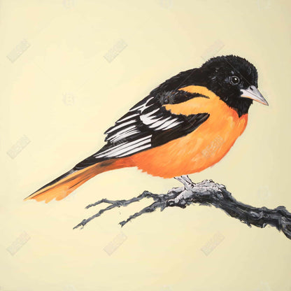 Realistic Little Bird Canvas | Framed Animal Art for Home Decor