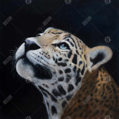 Realistic Leopard Face | African White Framed Canvas Decor