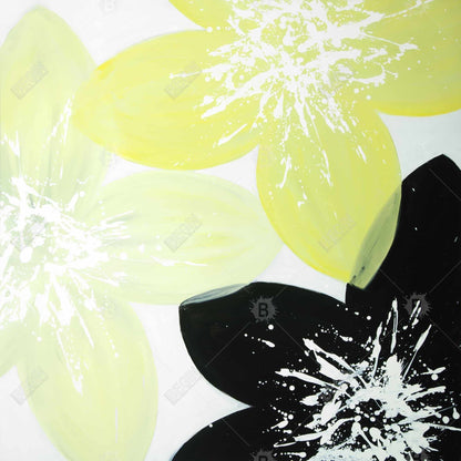 Fleurs jaunes au centre blanc | Toile encadrée pour décoration d'intérieur