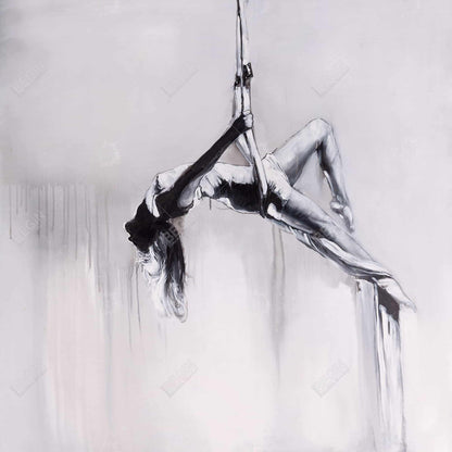 Monochrome Canvas - Dancer on Aerial Contortion Home Decor
