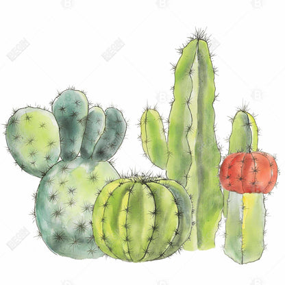 Toile encadrée « Rassemblement de petits cactus » - Décoration d'intérieur exotique