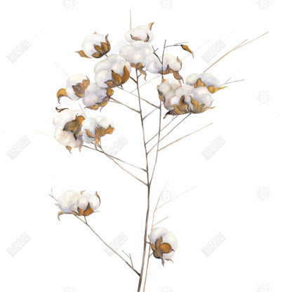 Toile encadrée à fleurs en coton blanc scandinave, décoration d'intérieur