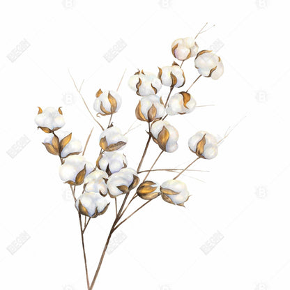 Scandinavian Floral Canvas | Cotton Flowers Branch Decor