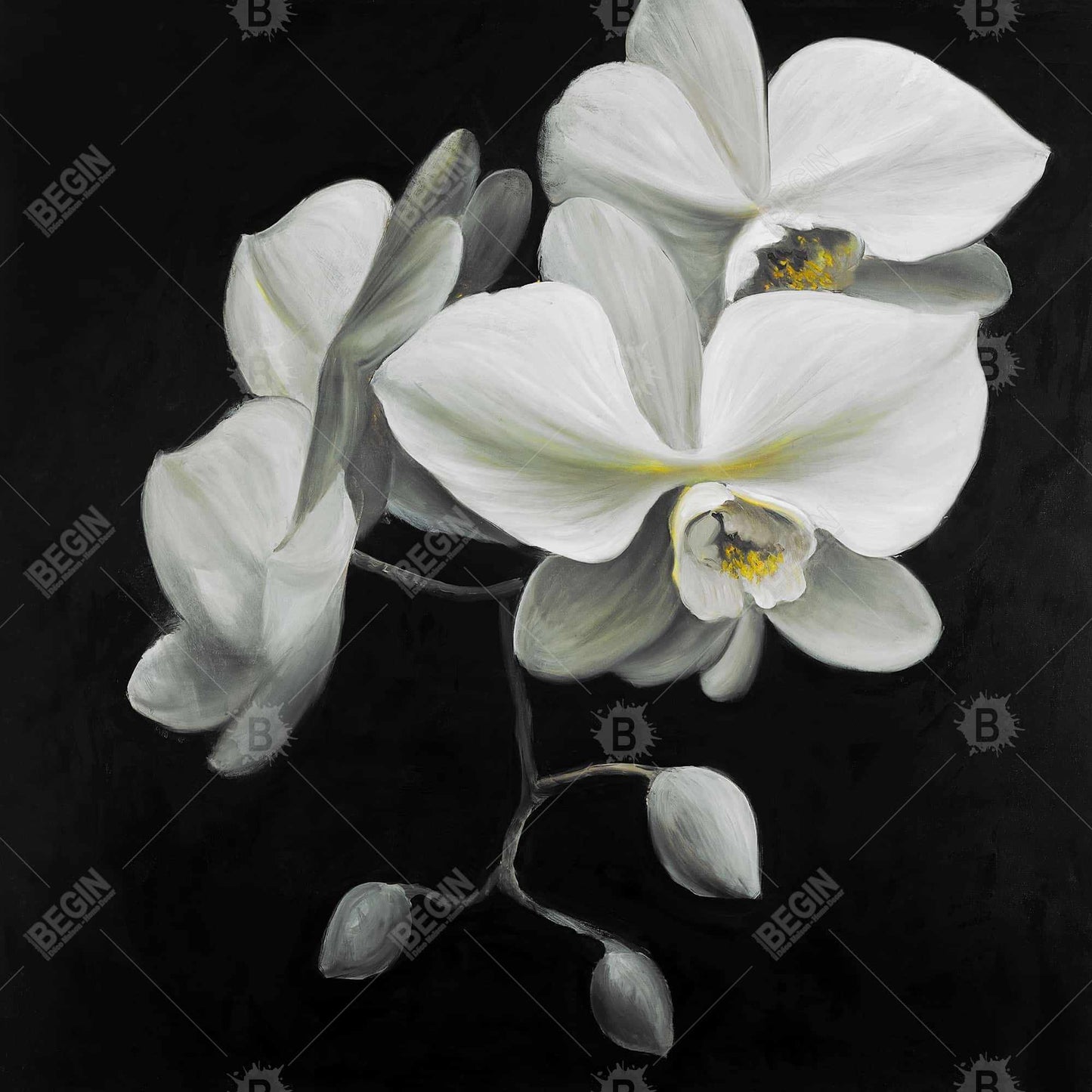White Orchids Canvas Art - Romantic Floral Bedroom Decor