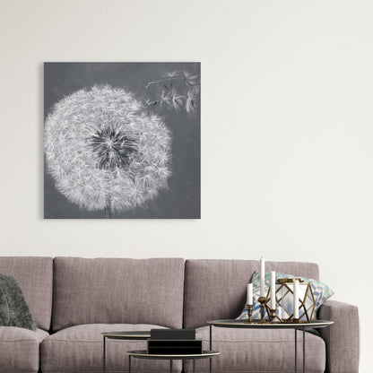 Toile botanique blanche représentant un pissenlit qui souffle | Décoration d'intérieur