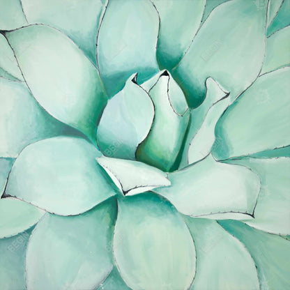 Succulent Closeup - Contemporary Floral Canvas for Home Decor