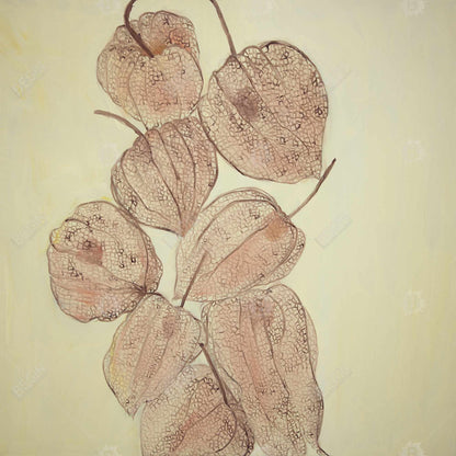Brown Rustic Floral Botanical Canvas - Closed Ground Cherries