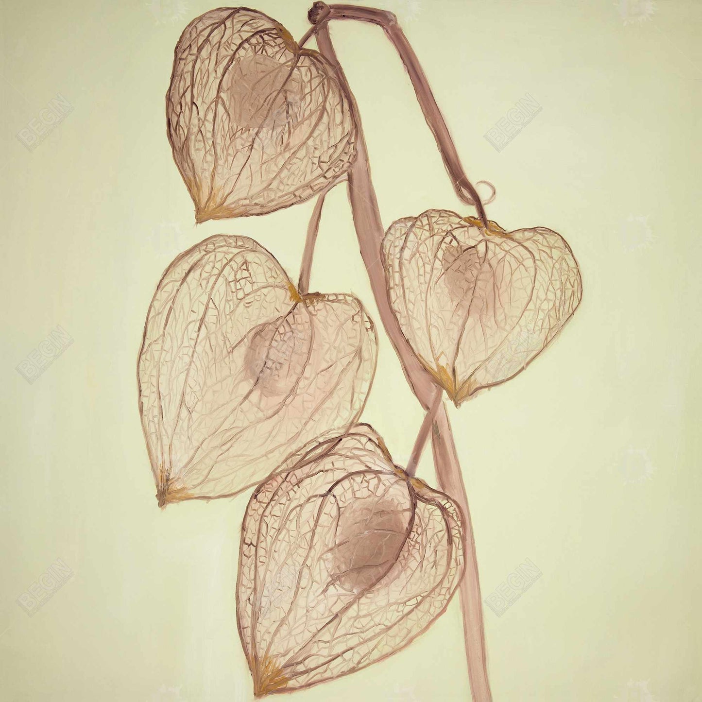 Floral & Botanical Brown Framed Canvas - Growing Ground Cherries