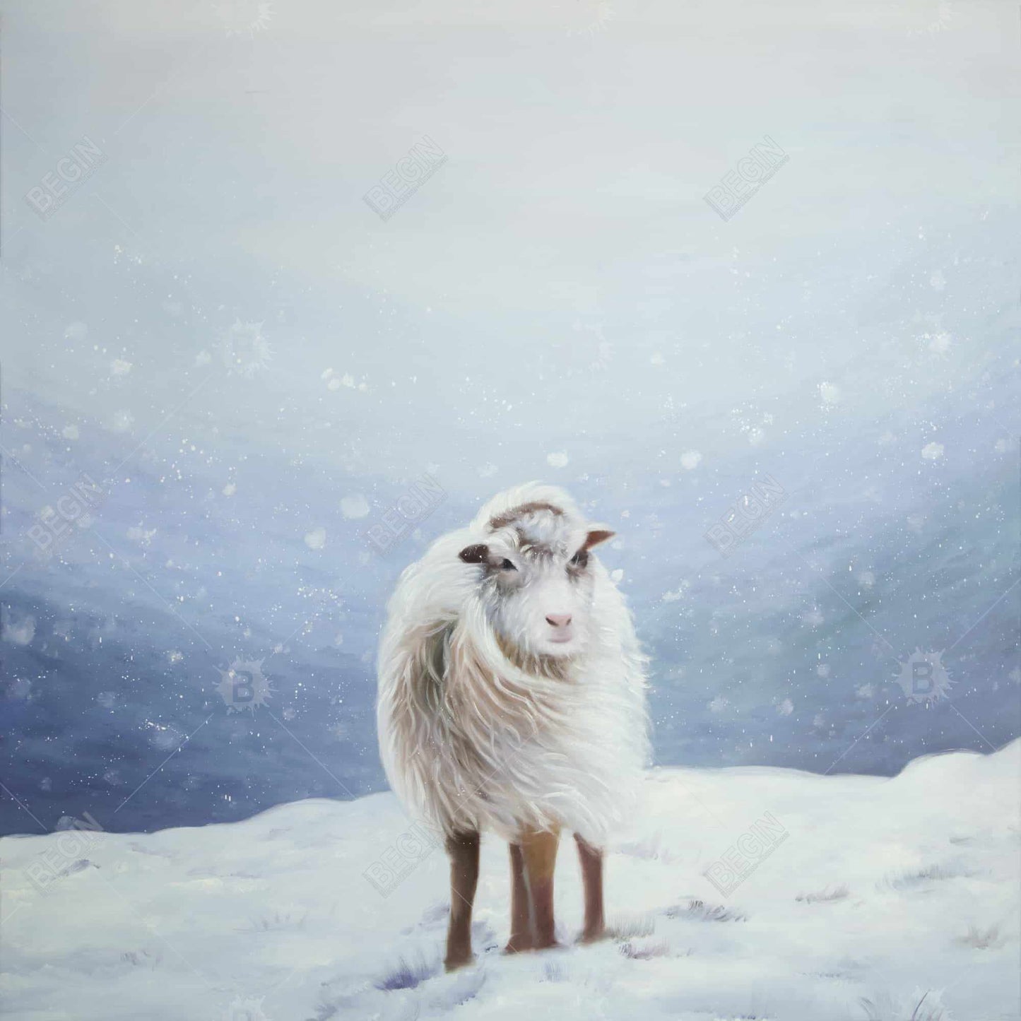 Long Hair Sheep Canvas | Blue Mountains Framed Wall Art Decor