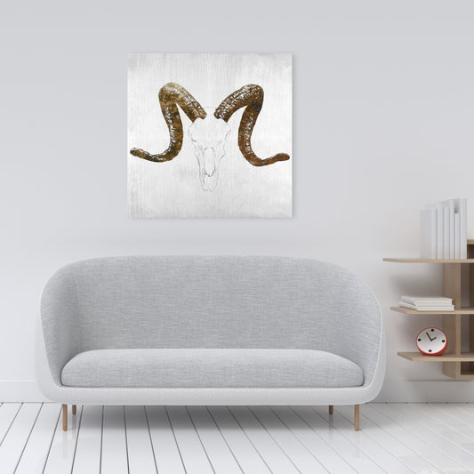 Aeries Skull Canvas | Farm Animal Decor | Brown Horns Art