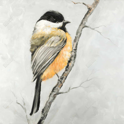 Small Coal Tit Canvas | Gray Framed Bird Art for Home Decor