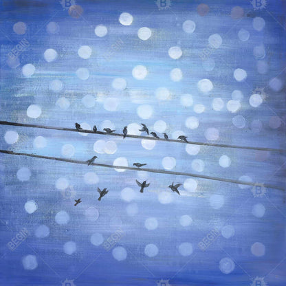 Toile encadrée Formes bleues – Décor oiseaux sur ciel scintillant