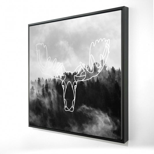 24"x24"