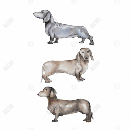 Toile encadrée représentant un petit teckel | Décoration pour chambre d'enfant