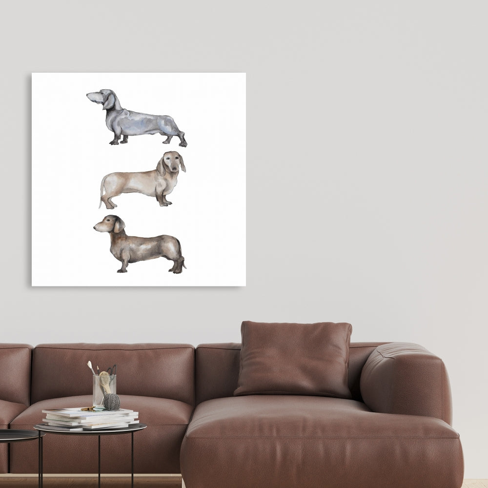 Toile représentant un petit teckel marron - Décoration d'intérieur