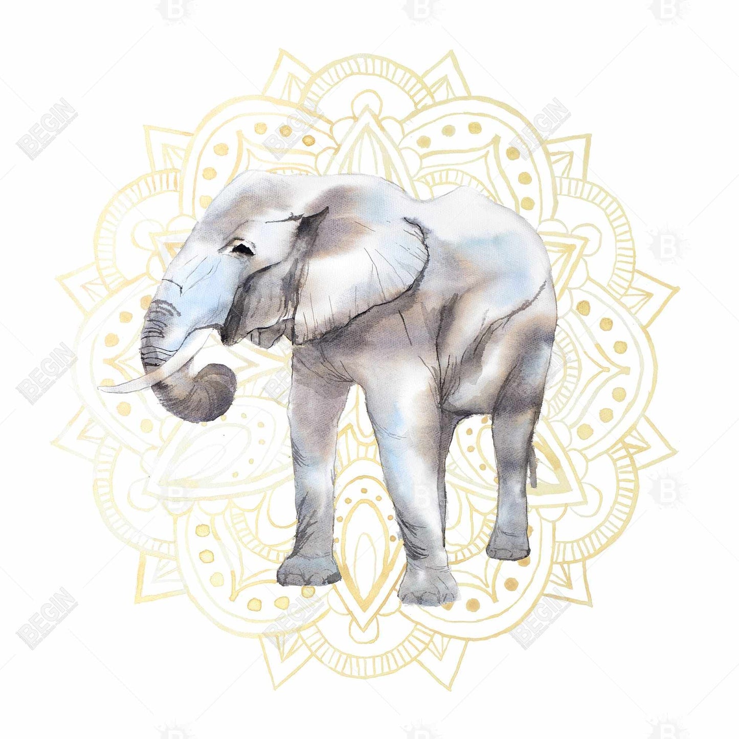 Bohemian Elephant Canvas - Elephant on Mandalas | Home Decor