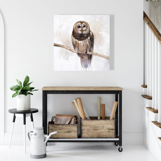 Barred Owl Rustic Canvas - Bedroom Animal Decor Wall Art