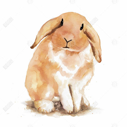 Lop-rabbit Canvas | Orange Animal Bedroom Decor Wall Art