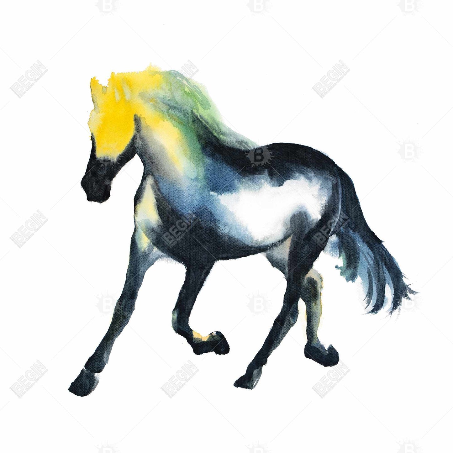 Toile Cheval au galop | Décoration animalière pour les murs de la chambre